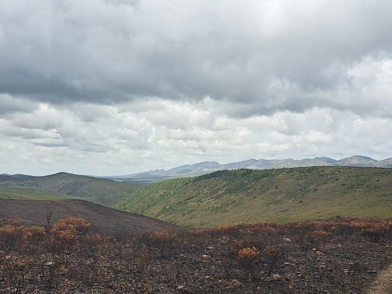 0 Bedroom Property for Sale in Kareedouw Eastern Cape